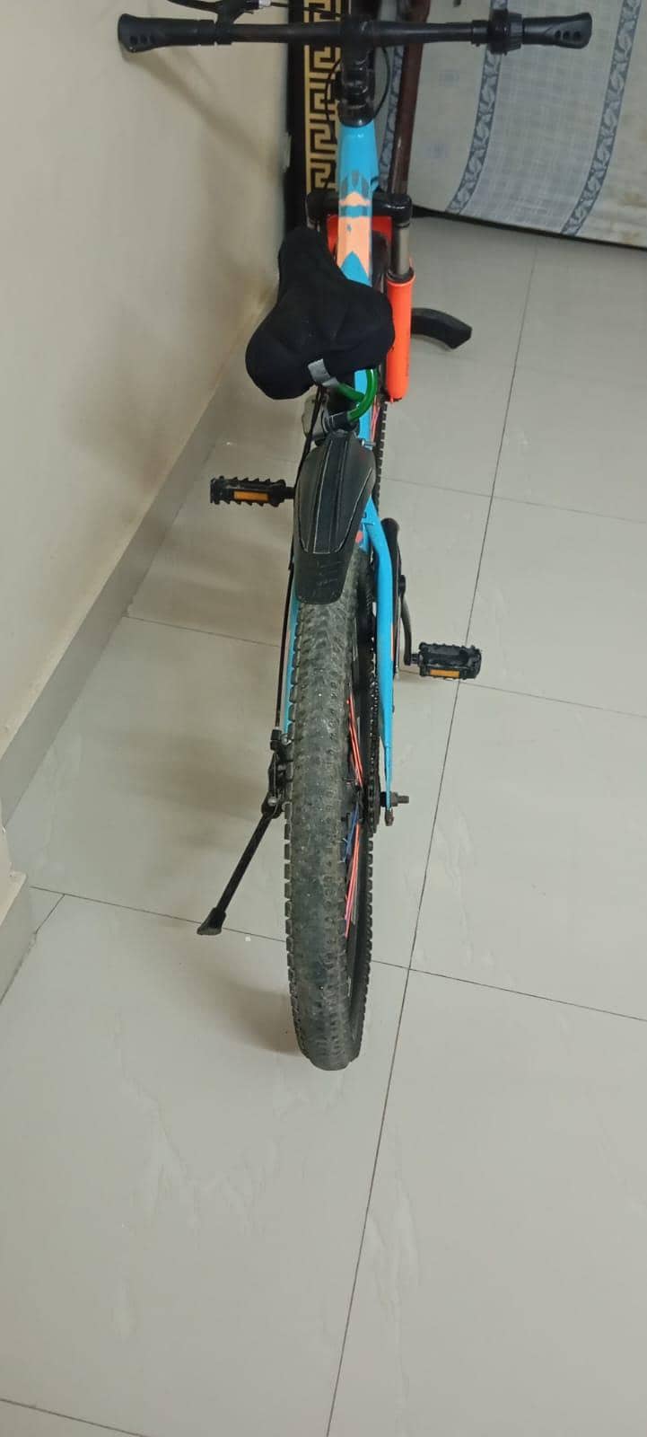 cycle 5