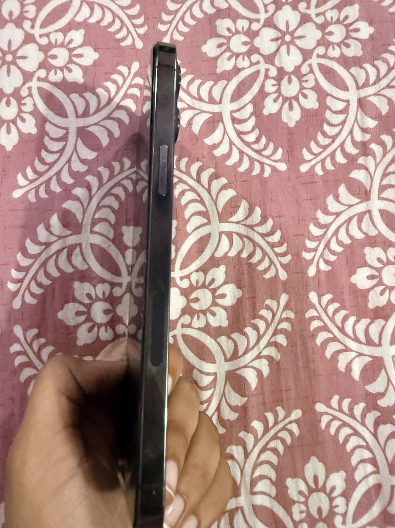 Apple iPhone 12 Pro Max 1