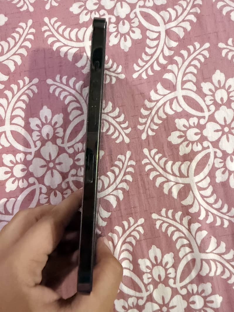 Apple iPhone 12 Pro Max 2