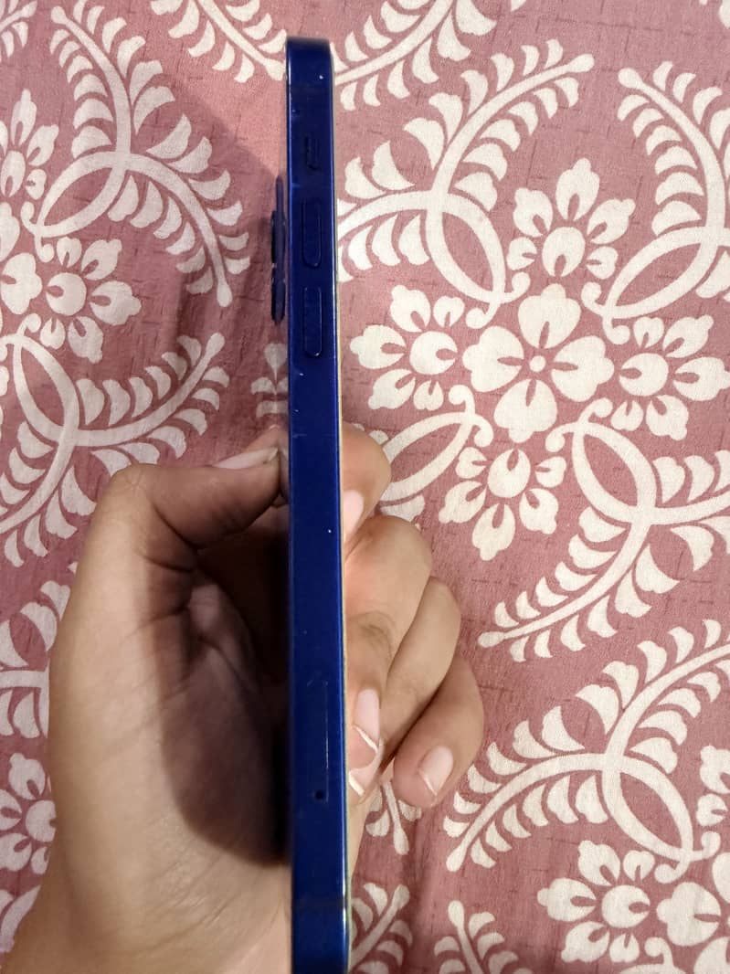 Apple iPhone 12 1