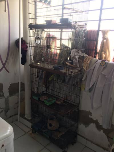 cage for urgent sale