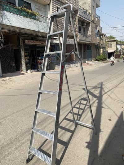 Foldable Ladder 3/4/5/6/7/8/10/12/14/16