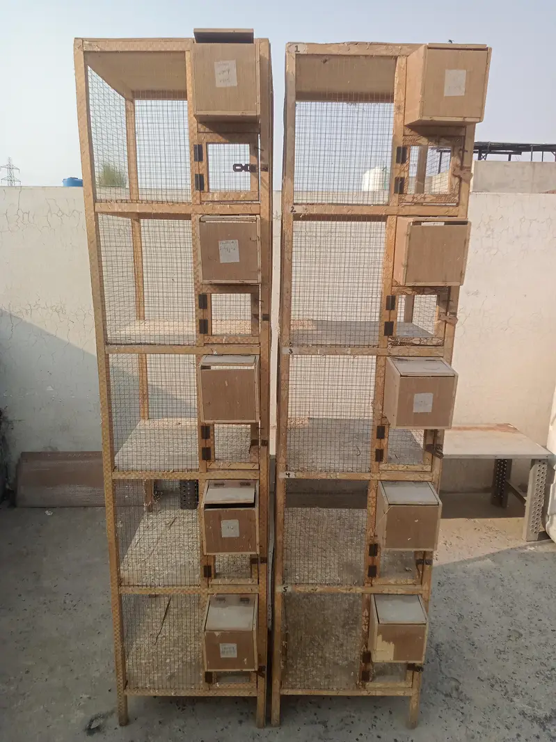 Wood Cage