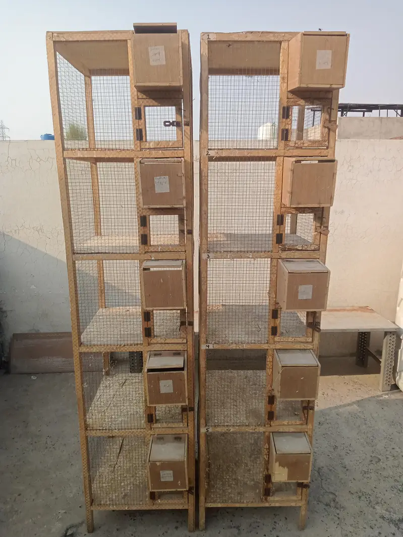 Wood Cage — photo 2