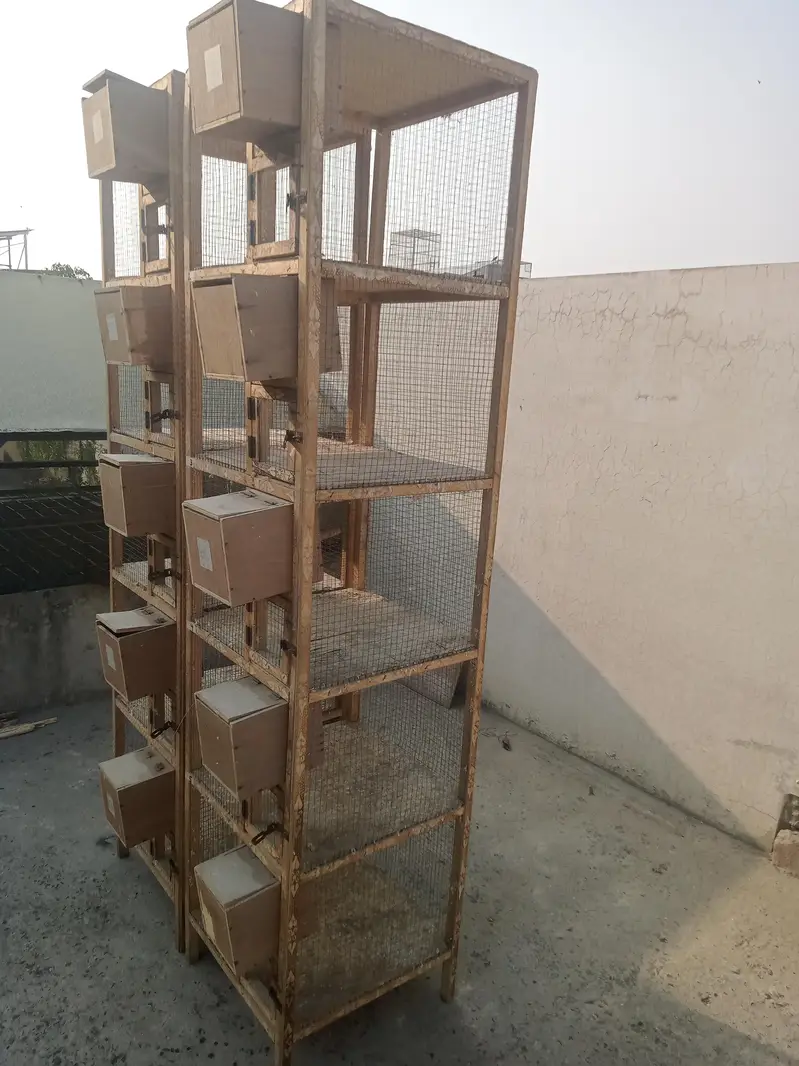 Wood Cage — photo 3