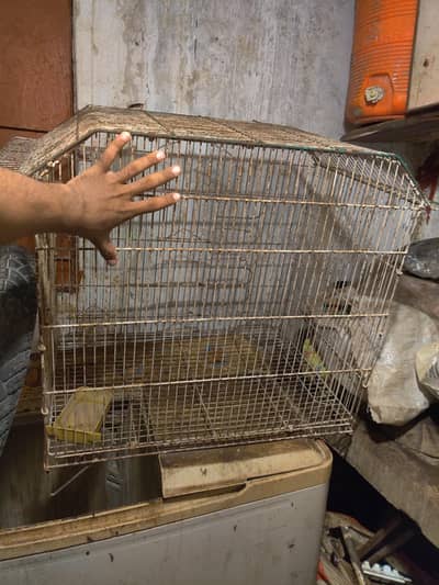 gray parrot cage