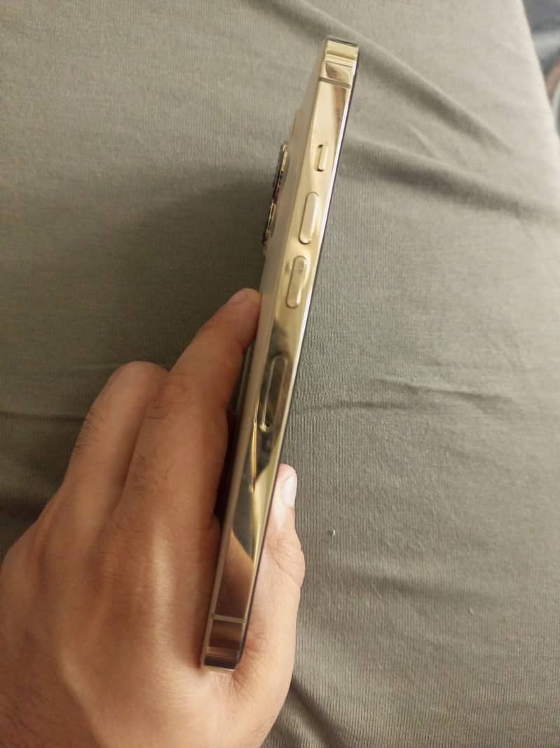 iPhone 13 Pro 1