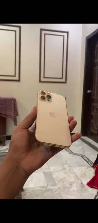 Apple iPhone 12 Pro Max