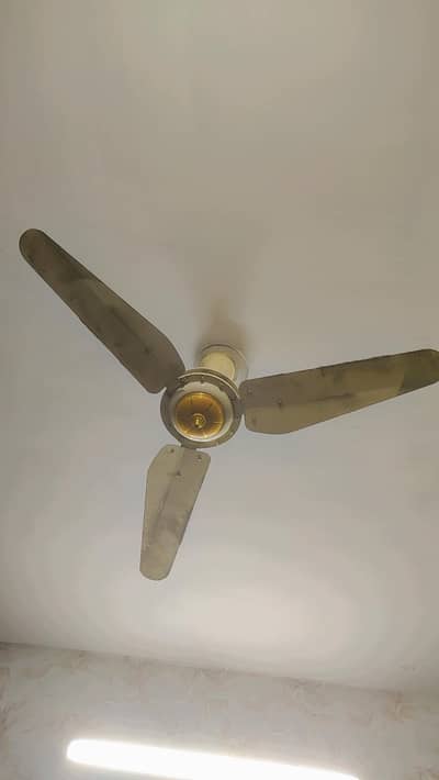 super Asia fan