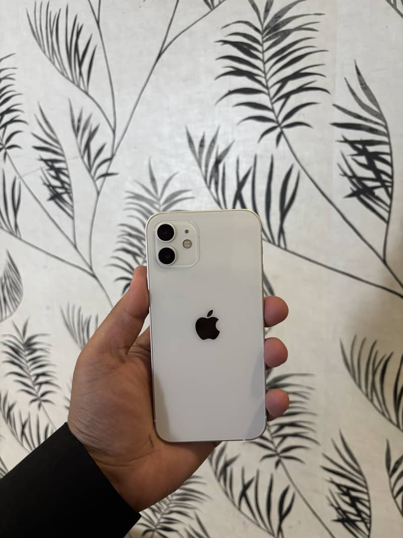 Apple iPhone 12 0