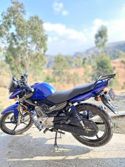 Ybr For Sale