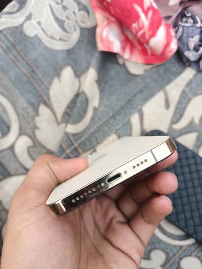 Apple iPhone 12 Pro Max