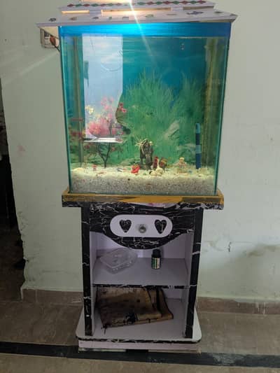 fishing house