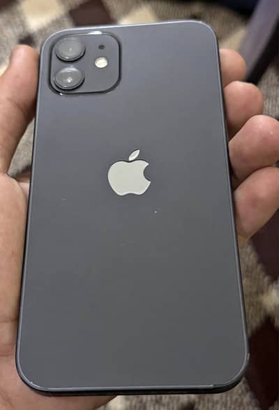 Apple iPhone 12
