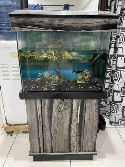 Fish aquarium for sale