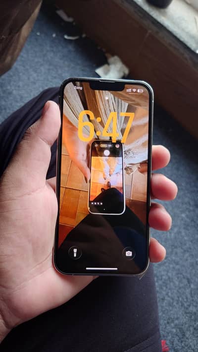 Apple iPhone 13 Pro
