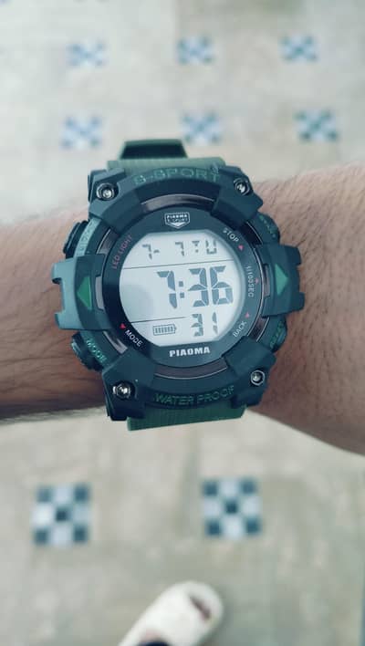 Traveling watch