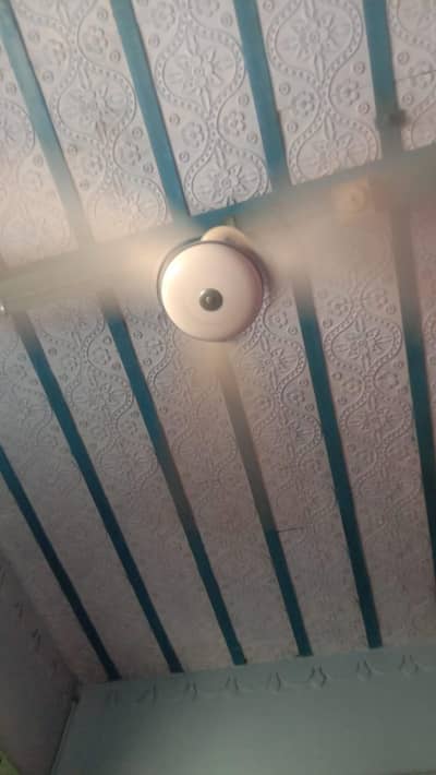 02 operational ceiling fans