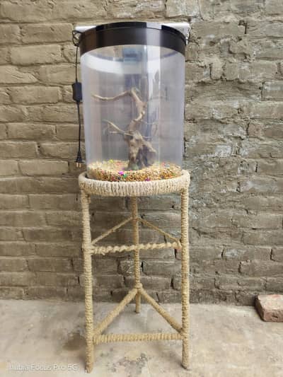 Fish Aquarium Round Shape