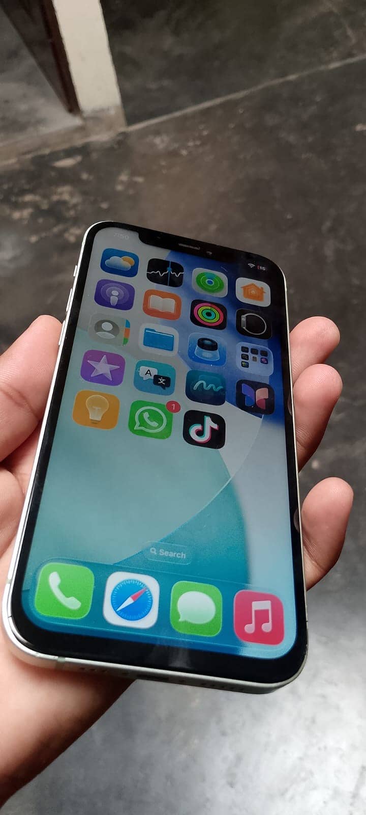 Apple iPhone 12 1