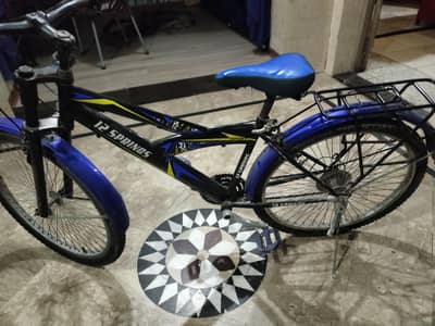 bicycle big 24