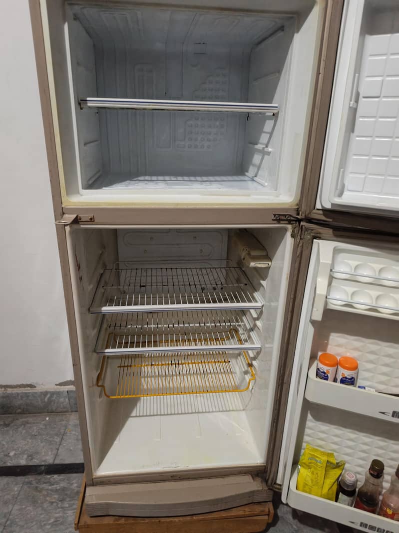 Fridge 1