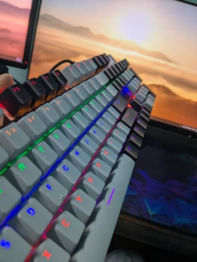 ZIDLI MECHANICAL KEYBOARD