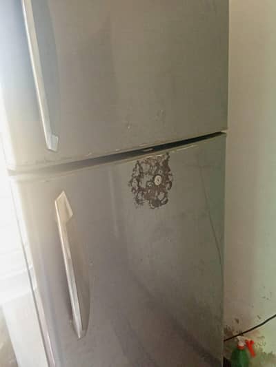Haier fridge
