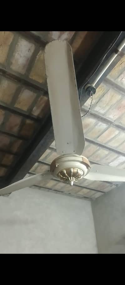 Ceiling Fan