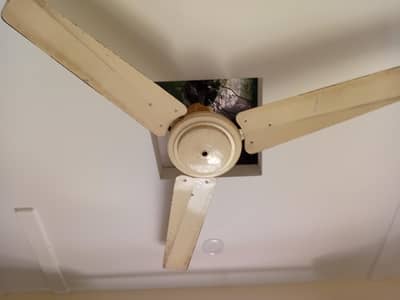 3 used ceiling fans for sale