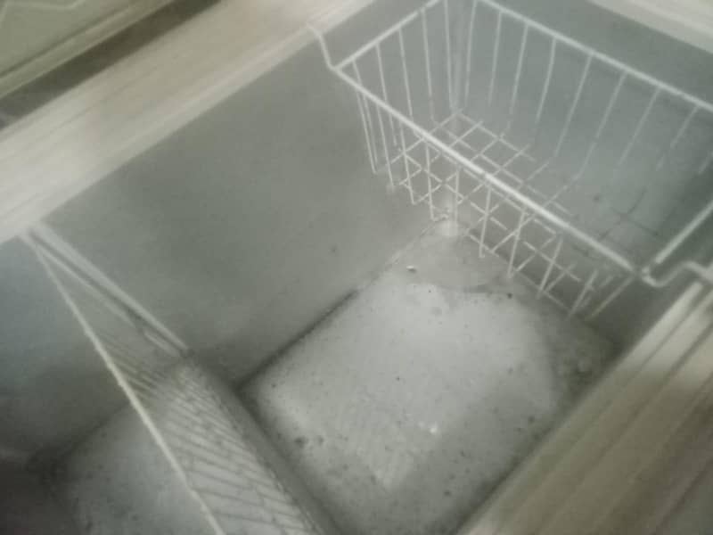 D Freezer 4