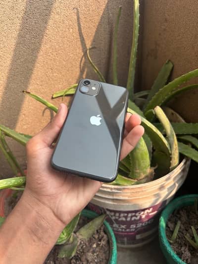 Apple iPhone 11