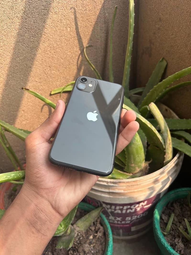 Apple iPhone 11 0