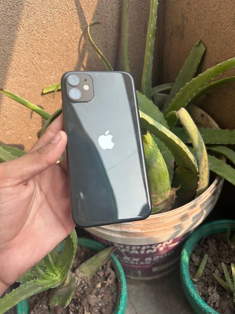Apple iPhone 11 1