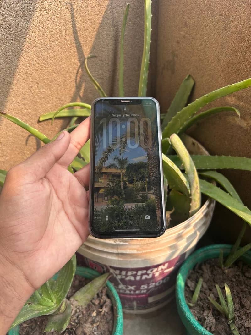 Apple iPhone 11 2