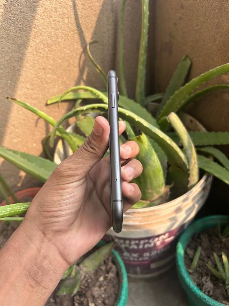 Apple iPhone 11 3
