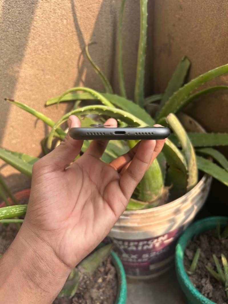 Apple iPhone 11 7