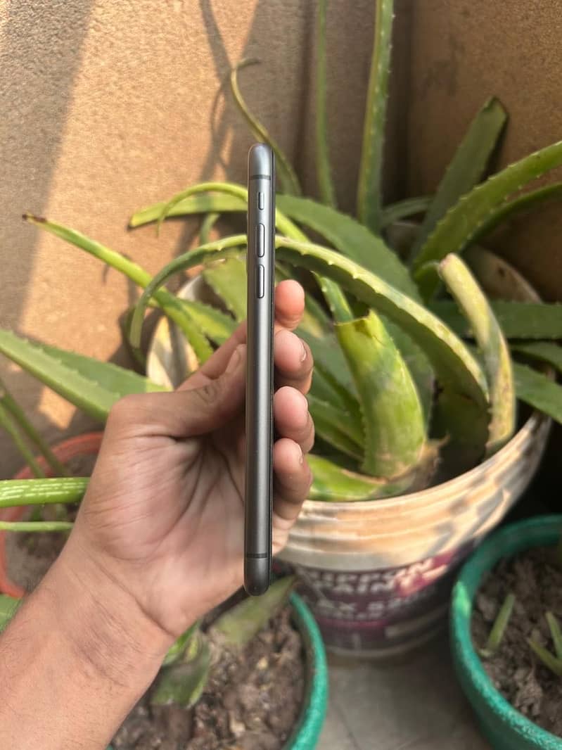 Apple iPhone 11 8