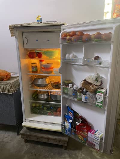 NRFFridge— 170S Refrigerator with excellent cooling and good condition