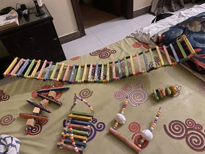Parrot toys