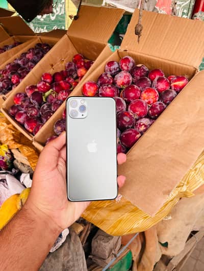 Apple iPhone 11 Pro Max