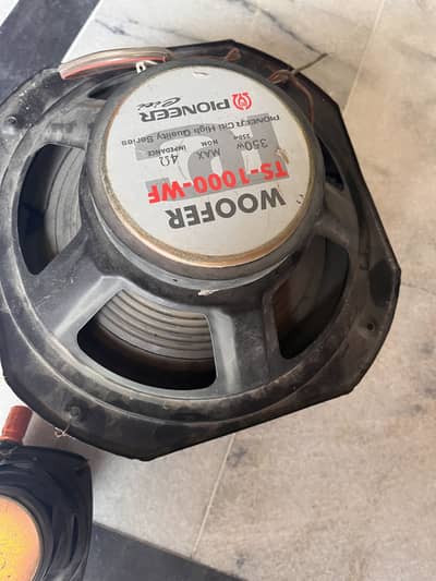 pair of 10 inch speaker