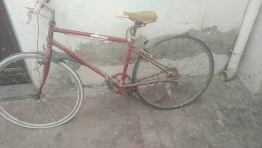 bicycle used condition ap ka samnay ha