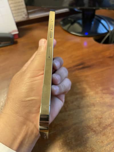 Apple iPhone 12 Pro Max