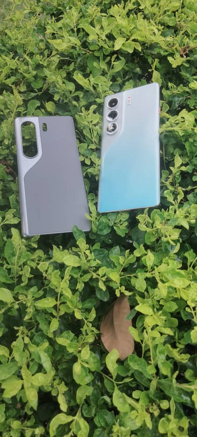 Tecno CAMON 40 Pro , Mint Condition ,  Still in Warranty , ONLY PHONE
