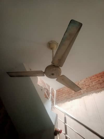 ceiling fan for sale