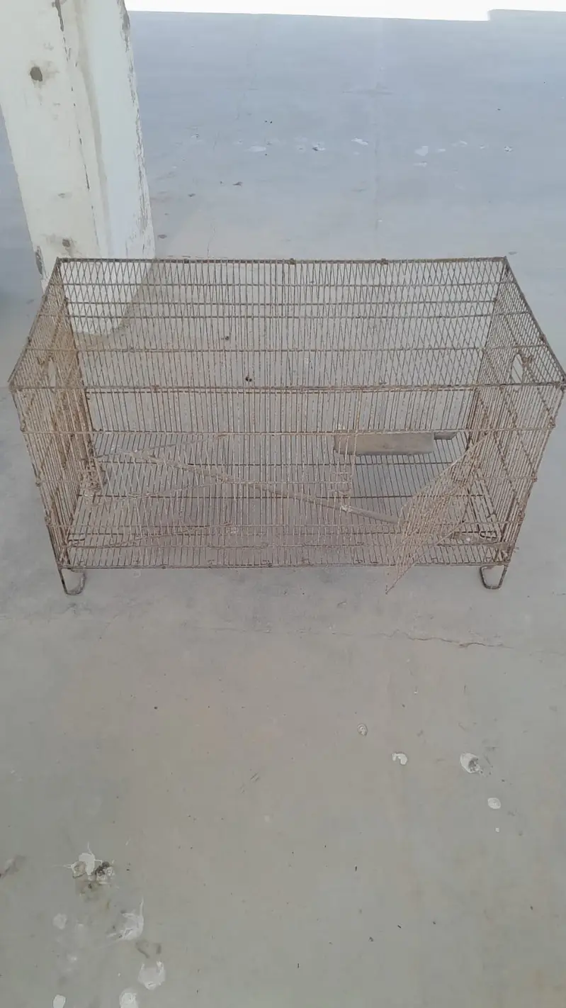 cage and matki — photo 2