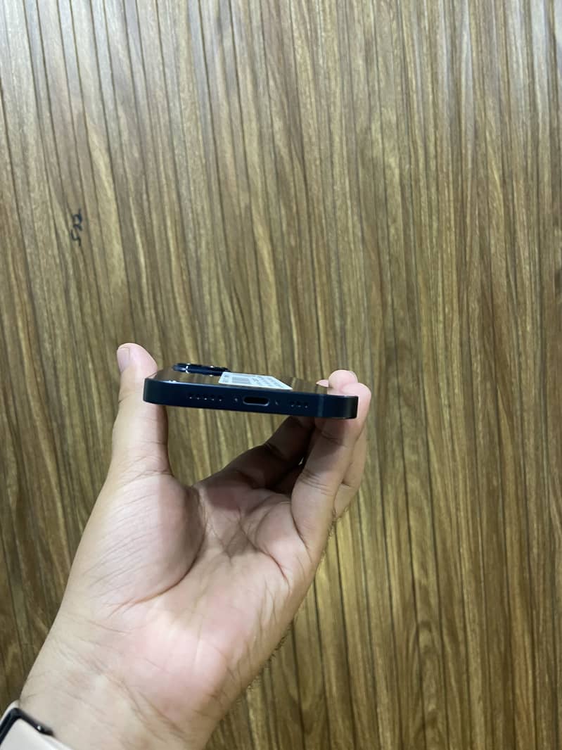 Apple iPhone 13 0