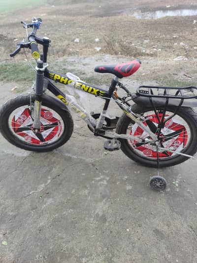 Cycle new