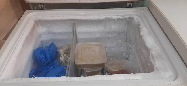 waves freezer 2 in 1 two door